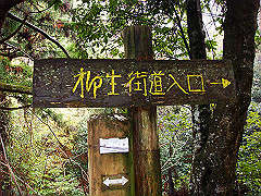dsc00330_thumb.jpg