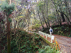 dsc00331_thumb.jpg