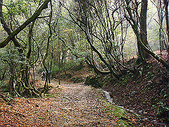 dsc00334_thumb.jpg