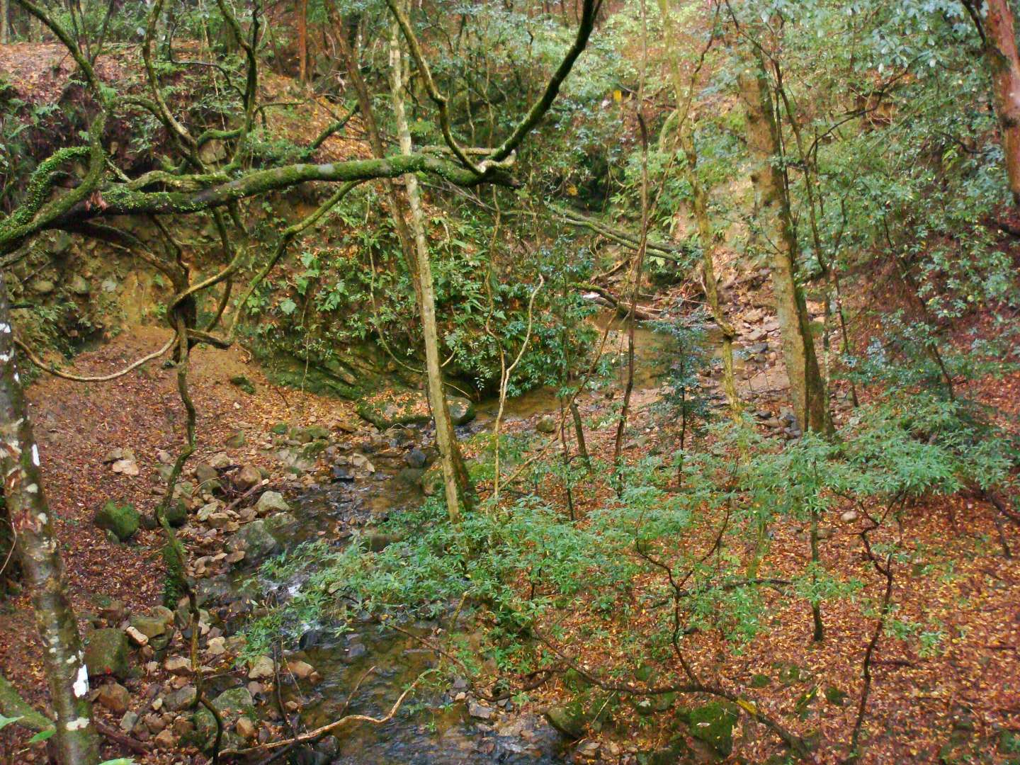 dsc00336.jpg