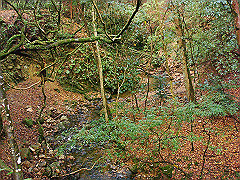 dsc00336_thumb.jpg