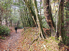 dsc00337_thumb.jpg