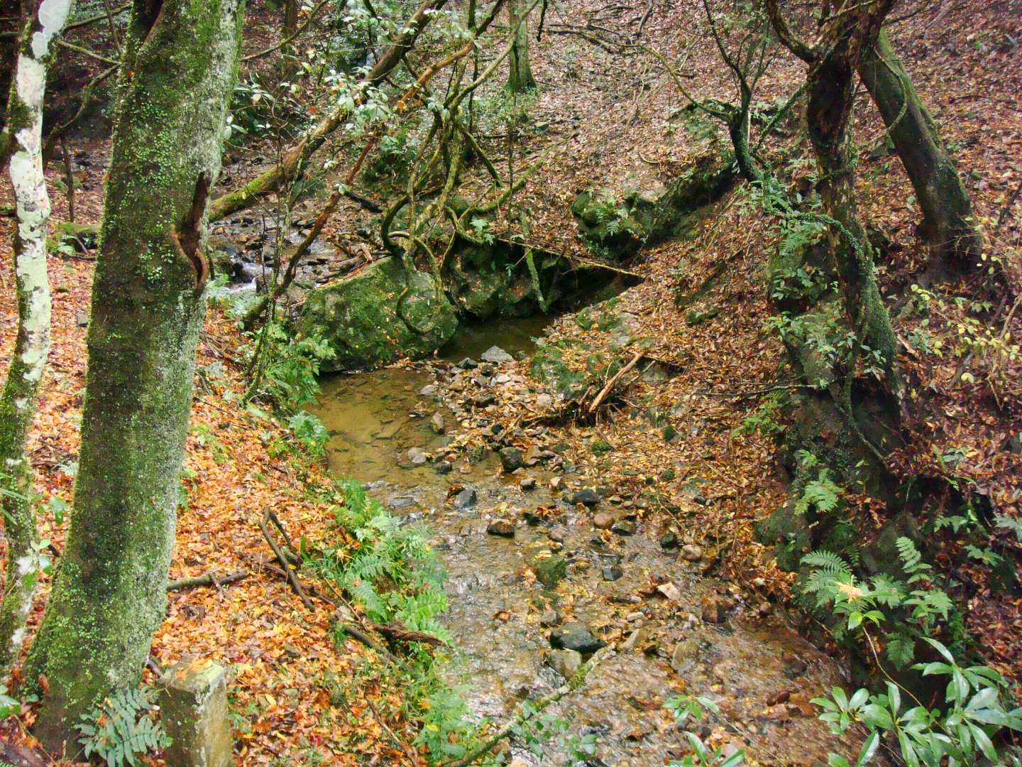 dsc00340.jpg