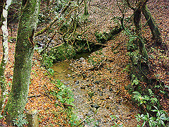 dsc00340_thumb.jpg