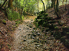 dsc00342_thumb.jpg