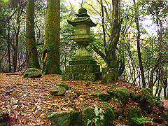 dsc00344_thumb.jpg