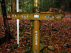 dsc00345_thumb.jpg