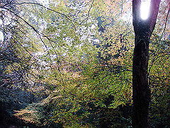 dsc00348_thumb.jpg