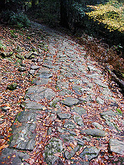 dsc00349_thumb.jpg