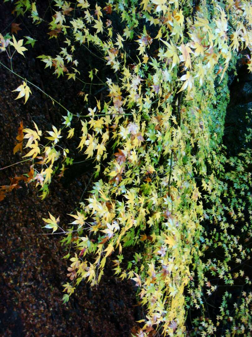 dsc00351.jpg