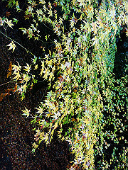 dsc00351_thumb.jpg