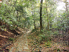 dsc00353_thumb.jpg