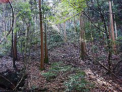 dsc00358_thumb.jpg