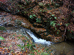 dsc00360_thumb.jpg