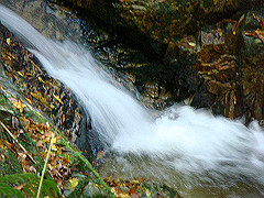 dsc00362_thumb.jpg