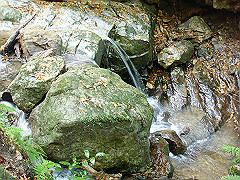 dsc00363_thumb.jpg