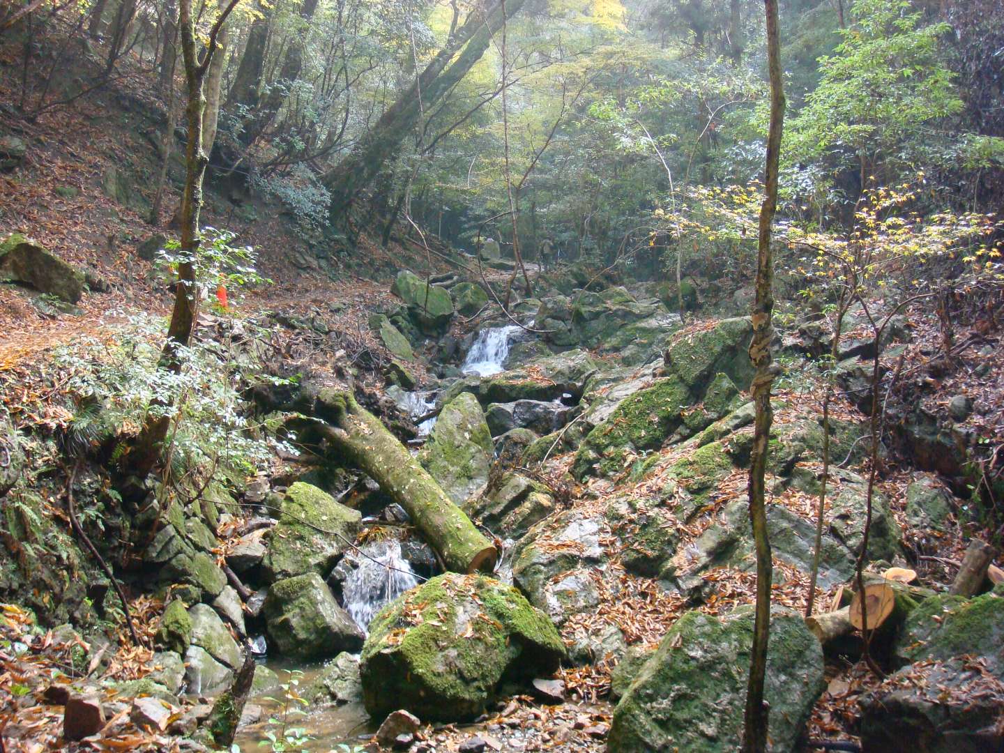 dsc00364.jpg
