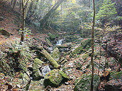 dsc00364_thumb.jpg