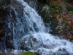 dsc00365_thumb.jpg