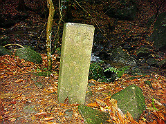 dsc00367_thumb.jpg