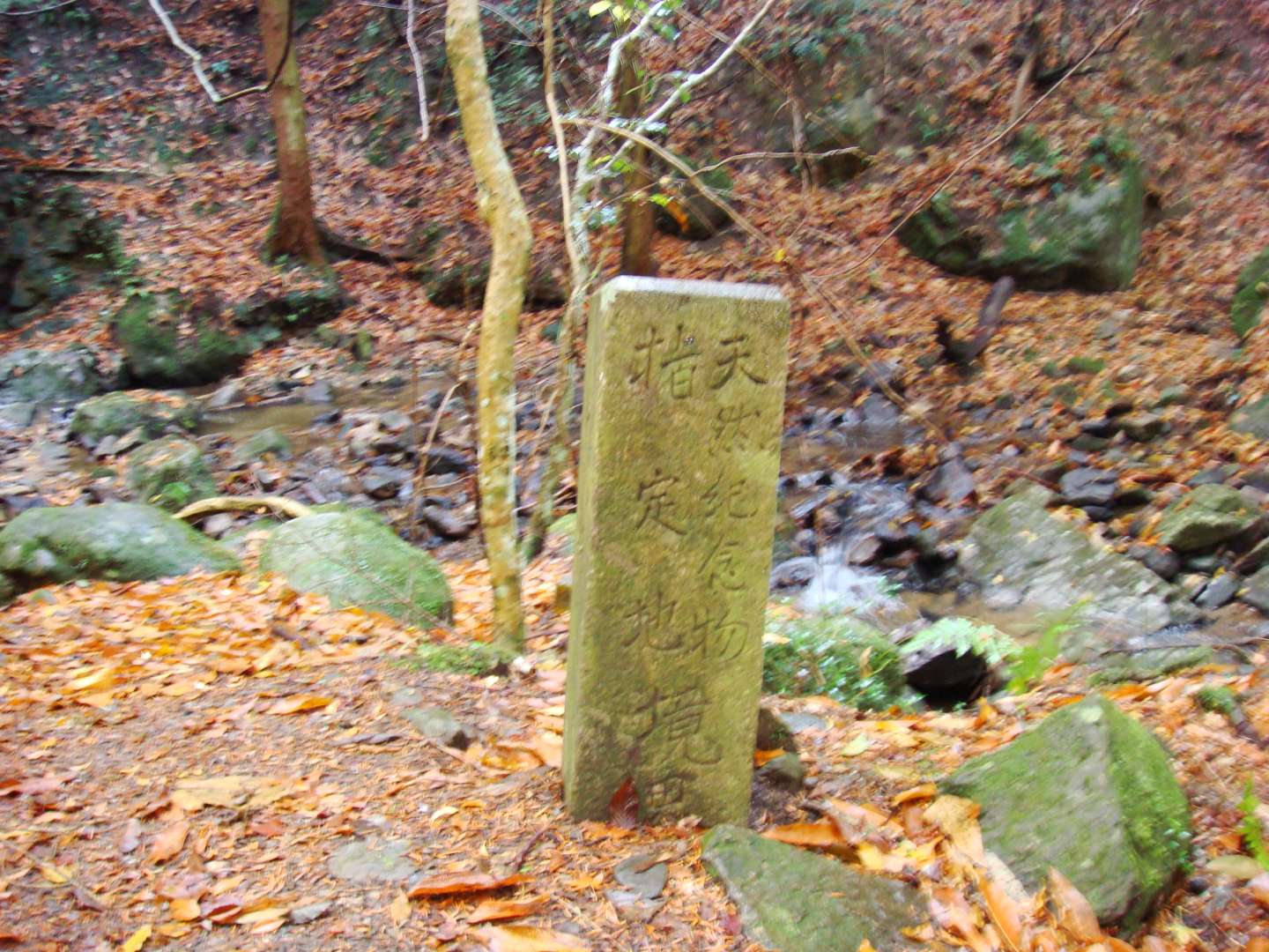 dsc00368.jpg