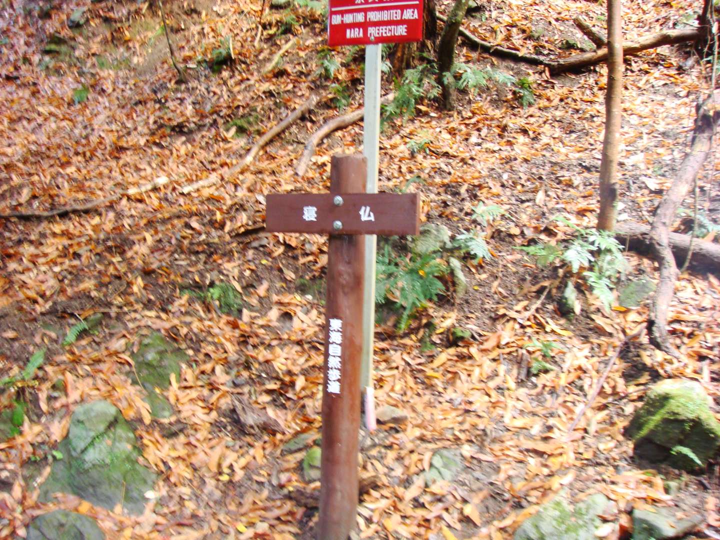 dsc00369.jpg