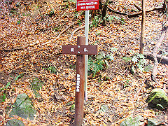 dsc00369_thumb.jpg