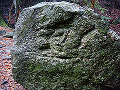 dsc00370_thumb.jpg