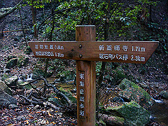 dsc00371_thumb.jpg