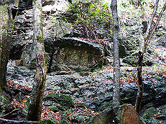 dsc00373_thumb.jpg