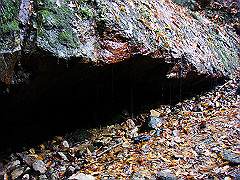 dsc00375_thumb.jpg
