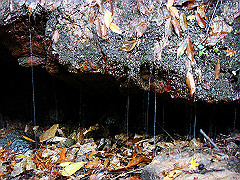 dsc00377_thumb.jpg
