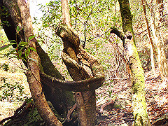 dsc00379_thumb.jpg