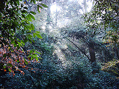 dsc00383_thumb.jpg