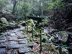 dsc00384_thumb.jpg