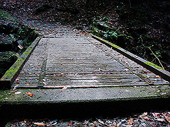 dsc00386_thumb.jpg