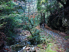 dsc00387_thumb.jpg