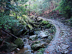 dsc00388_thumb.jpg