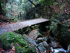 dsc00389_thumb.jpg