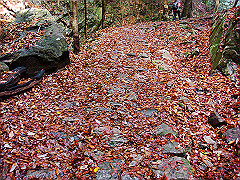 dsc00391_thumb.jpg
