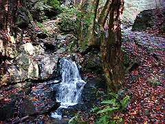 dsc00393_thumb.jpg