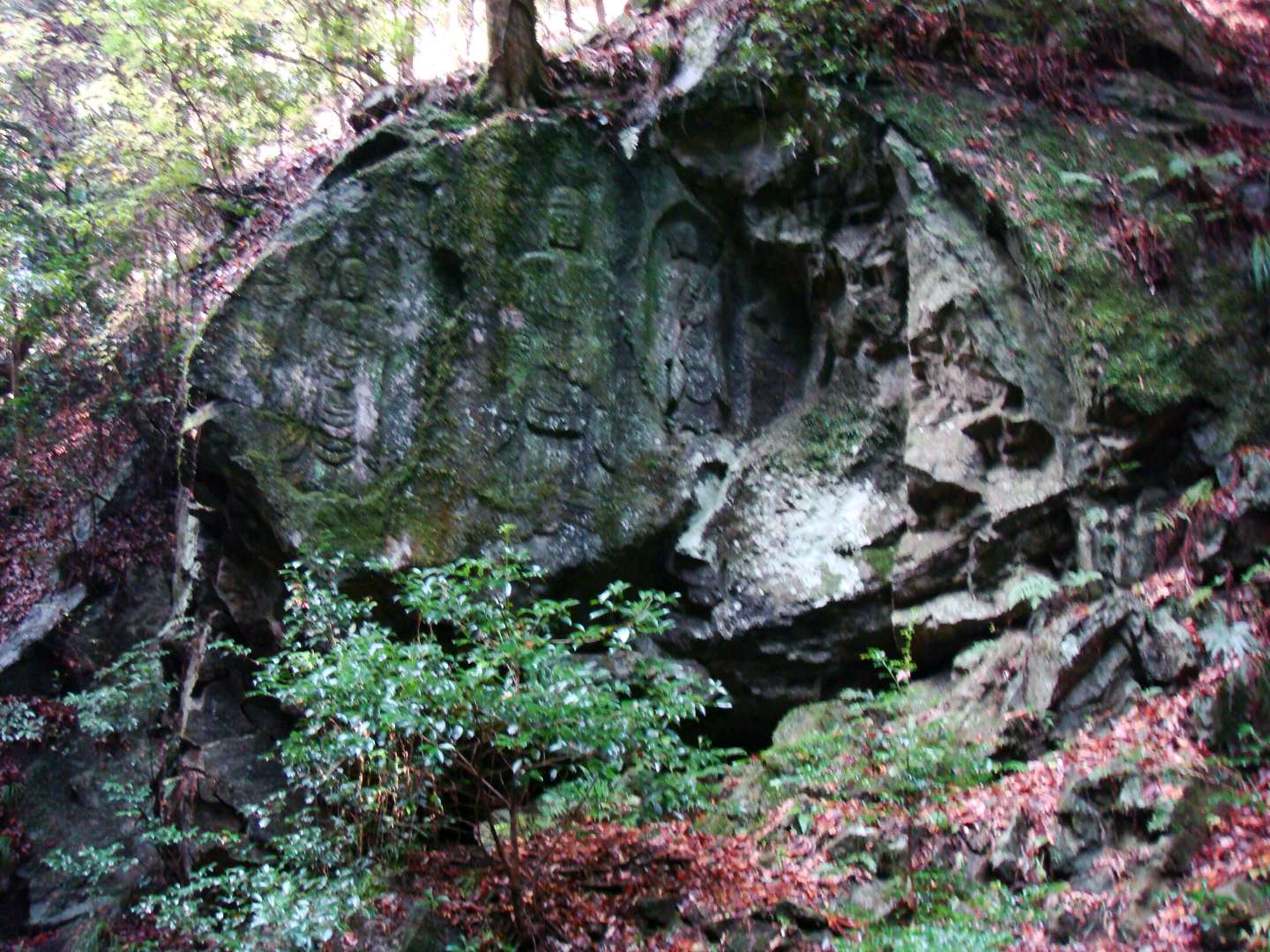dsc00396.jpg