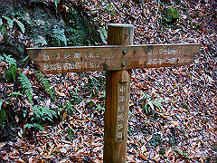 dsc00400_thumb.jpg