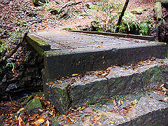 dsc00401_thumb.jpg