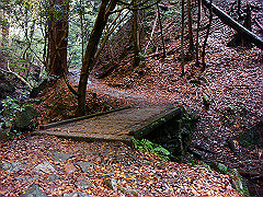 dsc00403_thumb.jpg