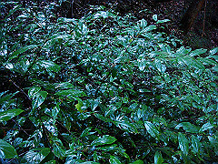 dsc00404_thumb.jpg