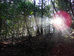 dsc00406_thumb.jpg