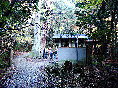 dsc00409_thumb.jpg