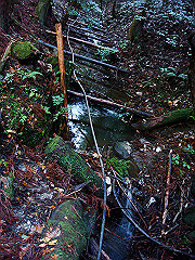 dsc00414_thumb.jpg