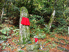 dsc00420_thumb.jpg